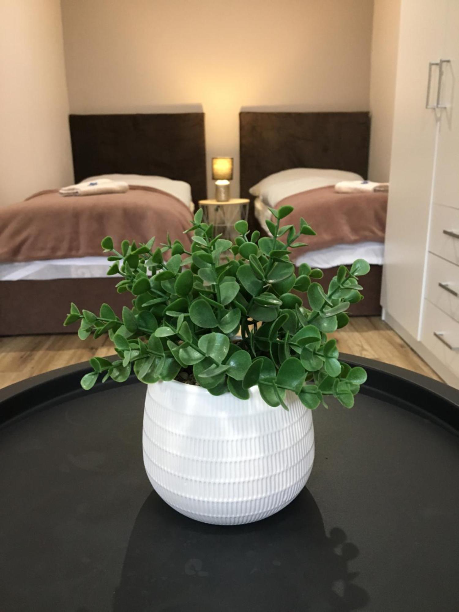 Tokajsky Domcek Appartement Mala Trna Buitenkant foto
